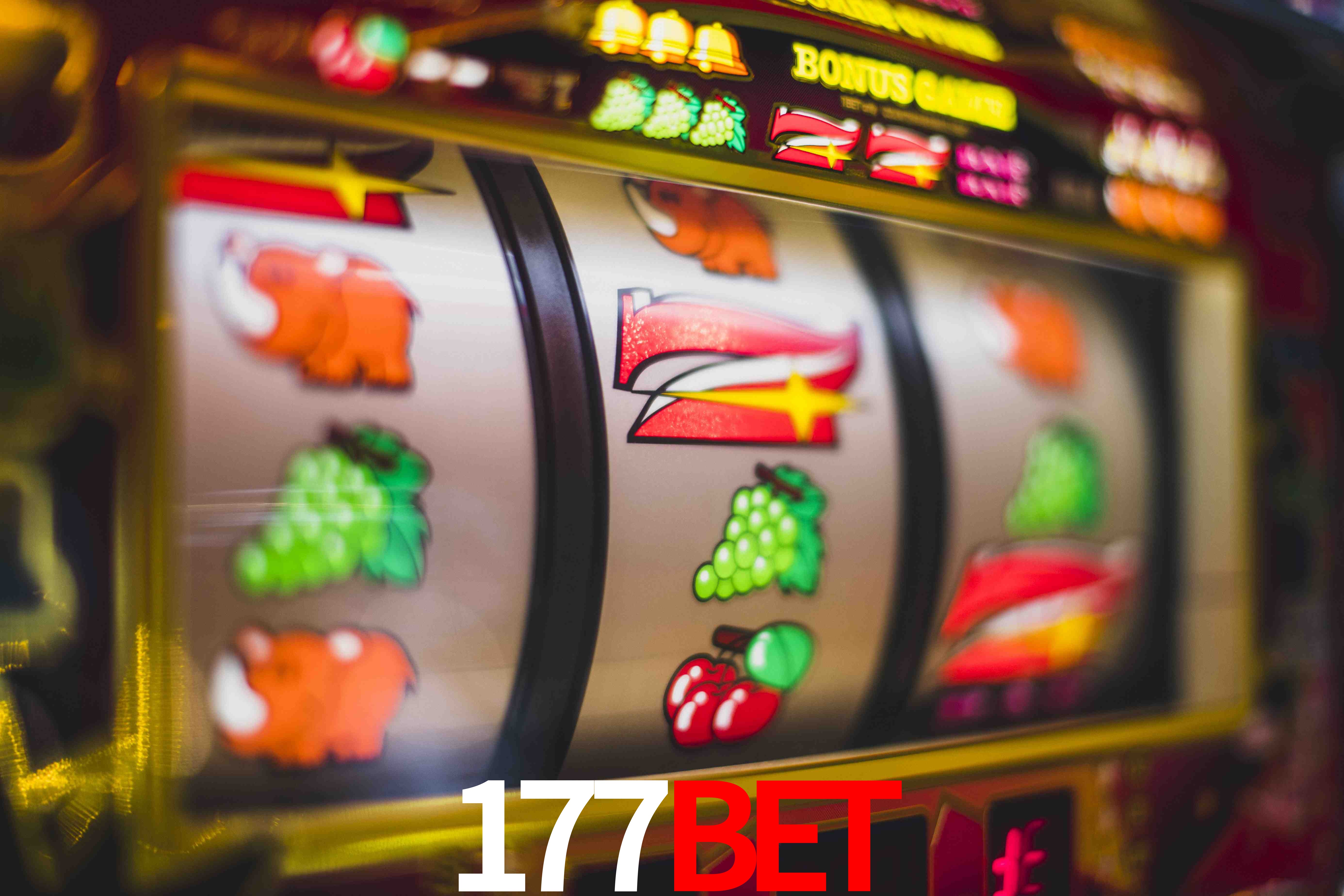 Football Betting 177bet