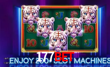 APP oficial da 177bet para mobile